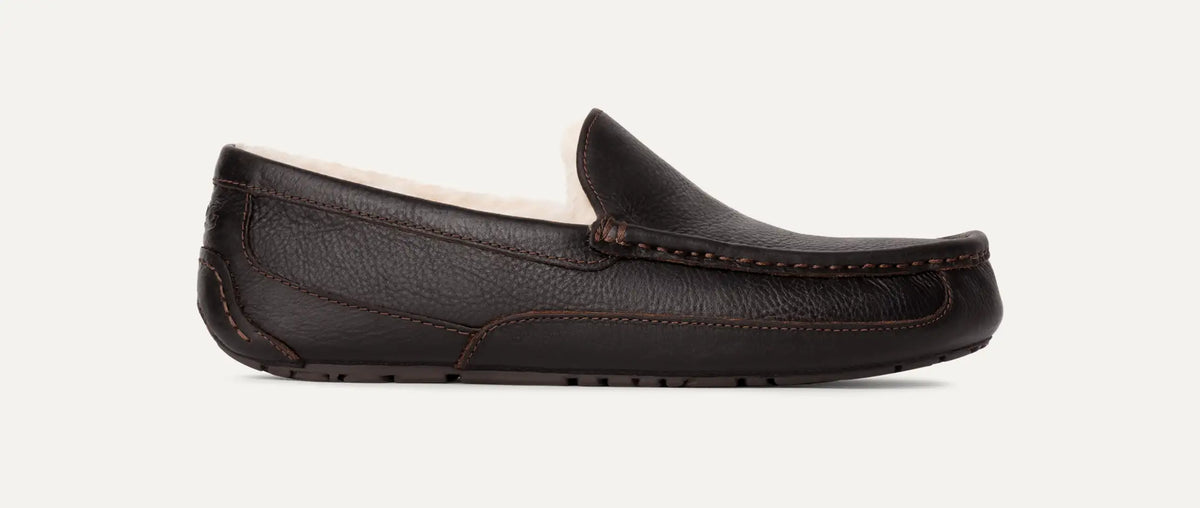 Men's Ascot - DARK SPICE