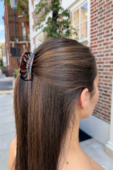 Hair Shell Clip